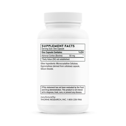 Adrenal Cortex - Thorne